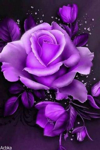 file_77826026