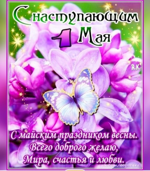 IMG 20260430 165020