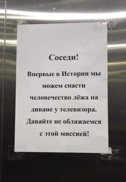 file_80982796