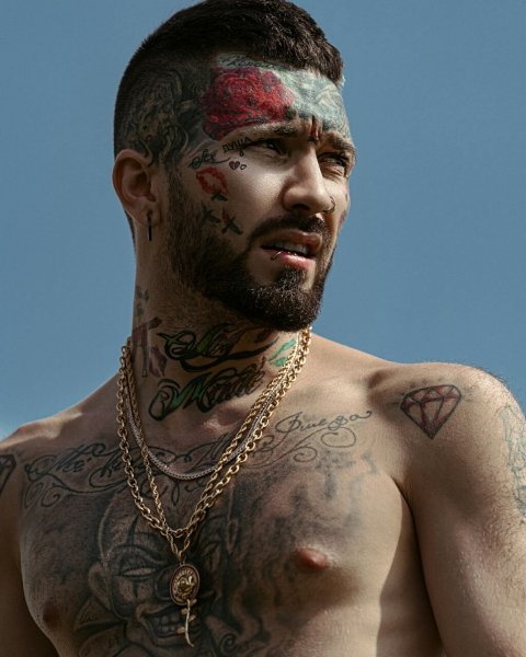 Ганвест - Новая Бывшая