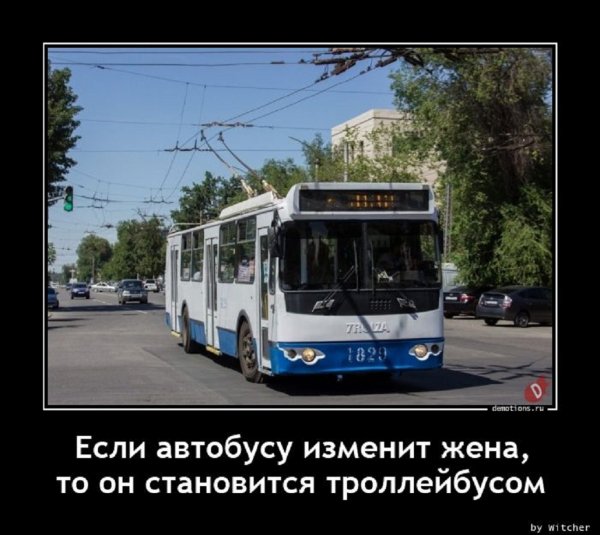 Если автобусу изменит жена, он становится троллейбусом