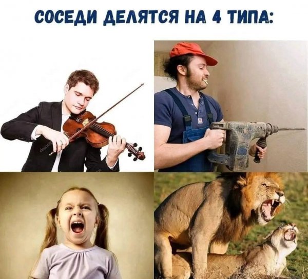 FB IMG 1778184428020