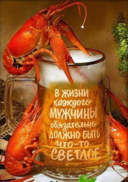 FB IMG 1775929244001