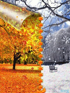 file_24136687