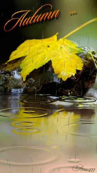 file_52755874