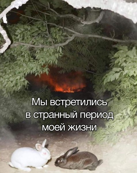 Почему то эта ситуация мне напоминает момент из наруто: