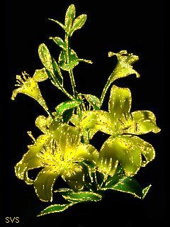 file_5822265