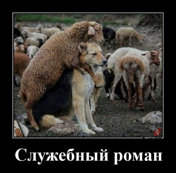 Служебный роман