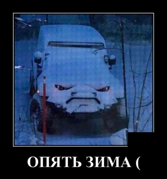file_79137056