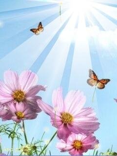 лето