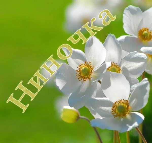 Нина