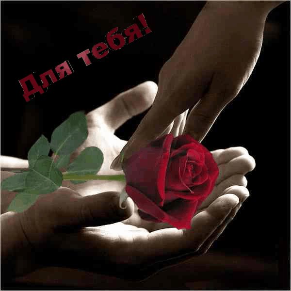 Для тебя.Роза Руки