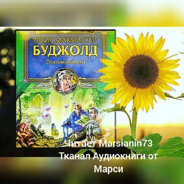 Буджолд. Осколки чести.awb