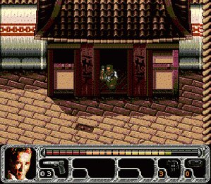 True Lies