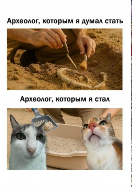 file_102583877