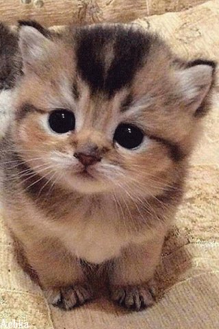 file_90972375