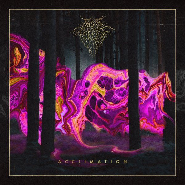 This Is The Last Time - I  Acclimation