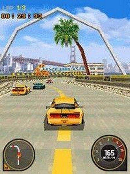 Race Driver Grid SE 176x220