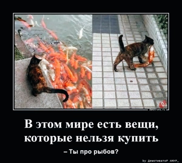 IMG 20240210 000759