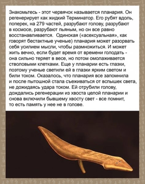 мaNdA