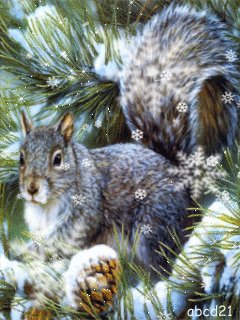 file_53746805