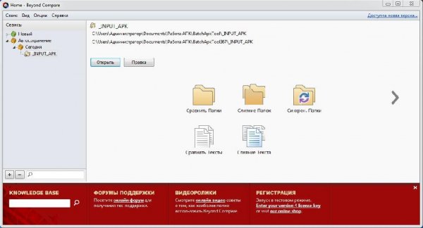 Beyond Compare 4 Pro Editions v4.0.0 build 18847 Rus Portable