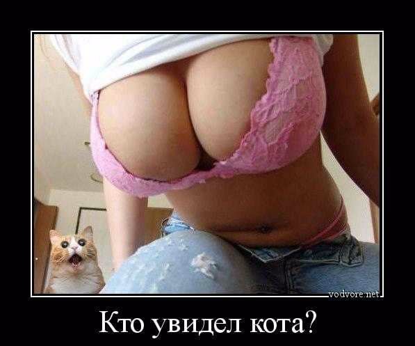 file_74366672