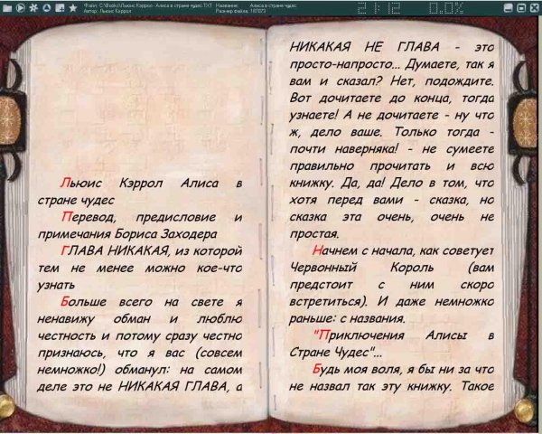 Ice book reader 8.10.2a