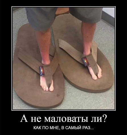 А не маловаты?