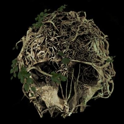 the forest v0.24 trainer 9 mrantifun
