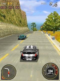 3D Race Driver Grid