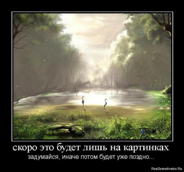 Скоро это будет лишь на картинках...