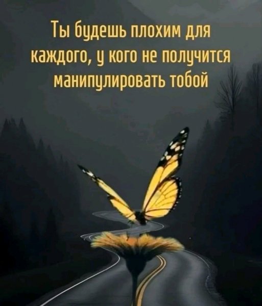 file_101170759