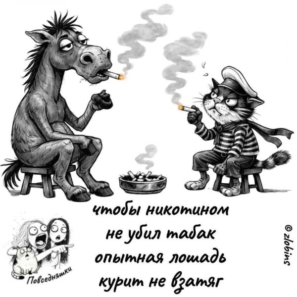 FB IMG 1778838259958