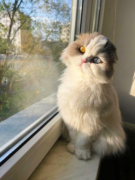 Ласковая милота!!!