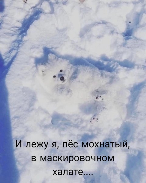 Истов, StaFFорд63 - Ковёр зимы [muzne.net]