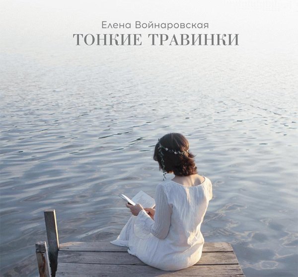 Елена Войнаровская - Куда исчез заключенный Г.Г. или Бермудский треугольник Вечности