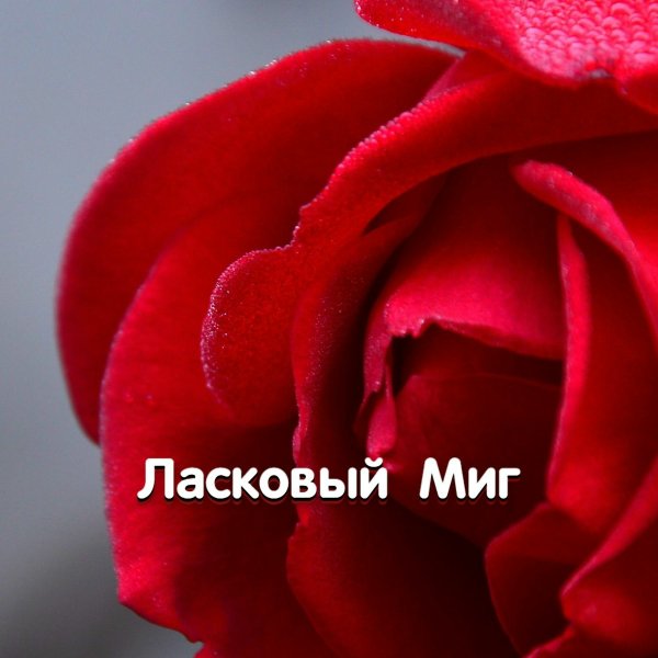 Гравитация - Я УДАЛЯЮ НОМЕРА