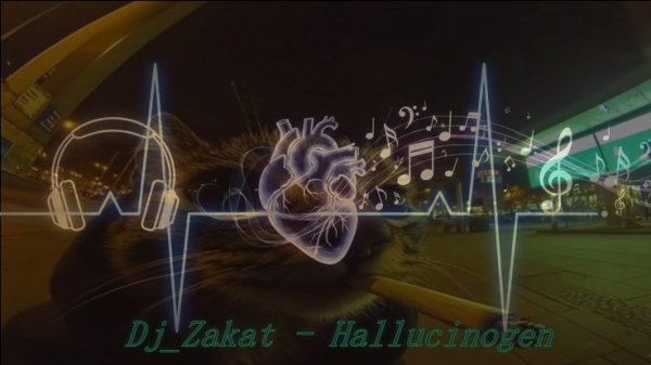 Dj_Zakat - Hallucinogen