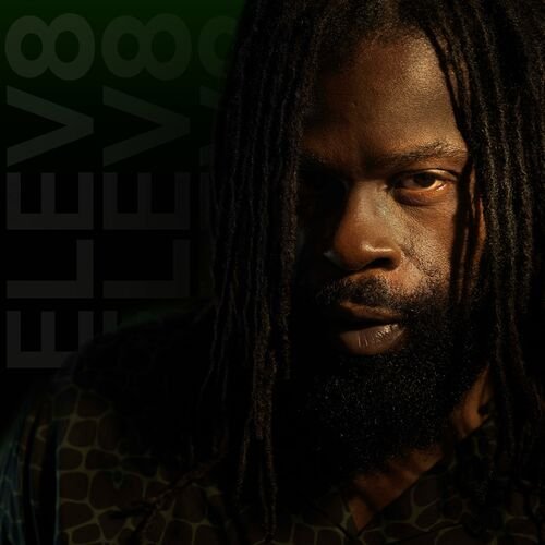 Bling Dawg - Step Son