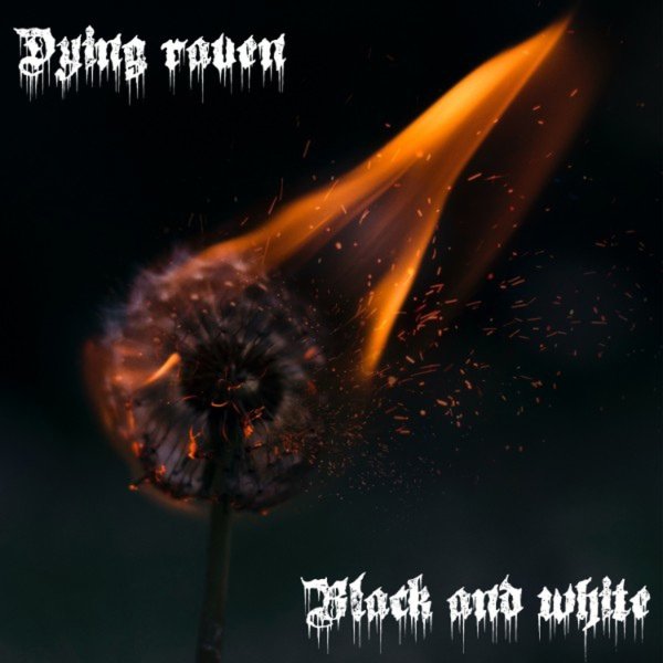 Dying raven - Lead wings