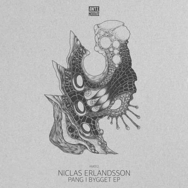 Niclas Erlandsson - Trakmans