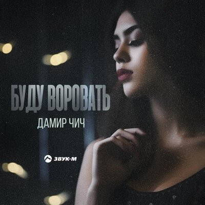 Дамир Чич - Буду Воровать