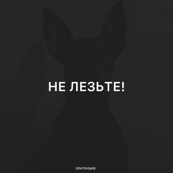 Златенция - Не лезьте!