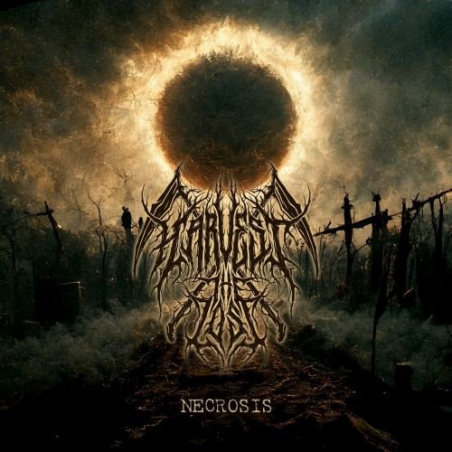 Harvest The Lost - Paracusia