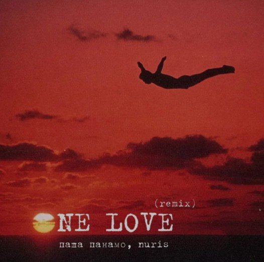 Паша Панамо, Nuris - One Love (Remix)