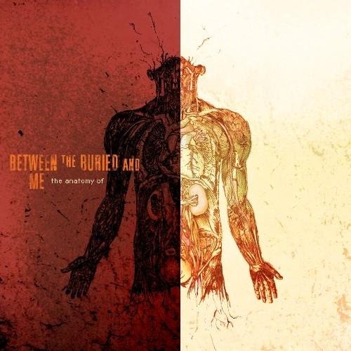 Between The Buried And Me - Colorblind (Counting Crows)