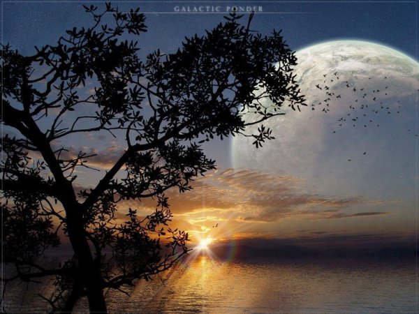 Alexander Peter, Peter Alexander Dresden Philharmonic ChamberOrchestra - Fischer J Symphony With Eight Obligato Timpani  2. Adagio