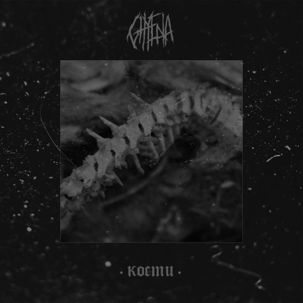 Ghyena - Кости