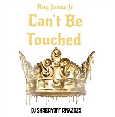 Roy Jones Jr - Can't Be Touched (DJ SHABAYOFF RMX2025)